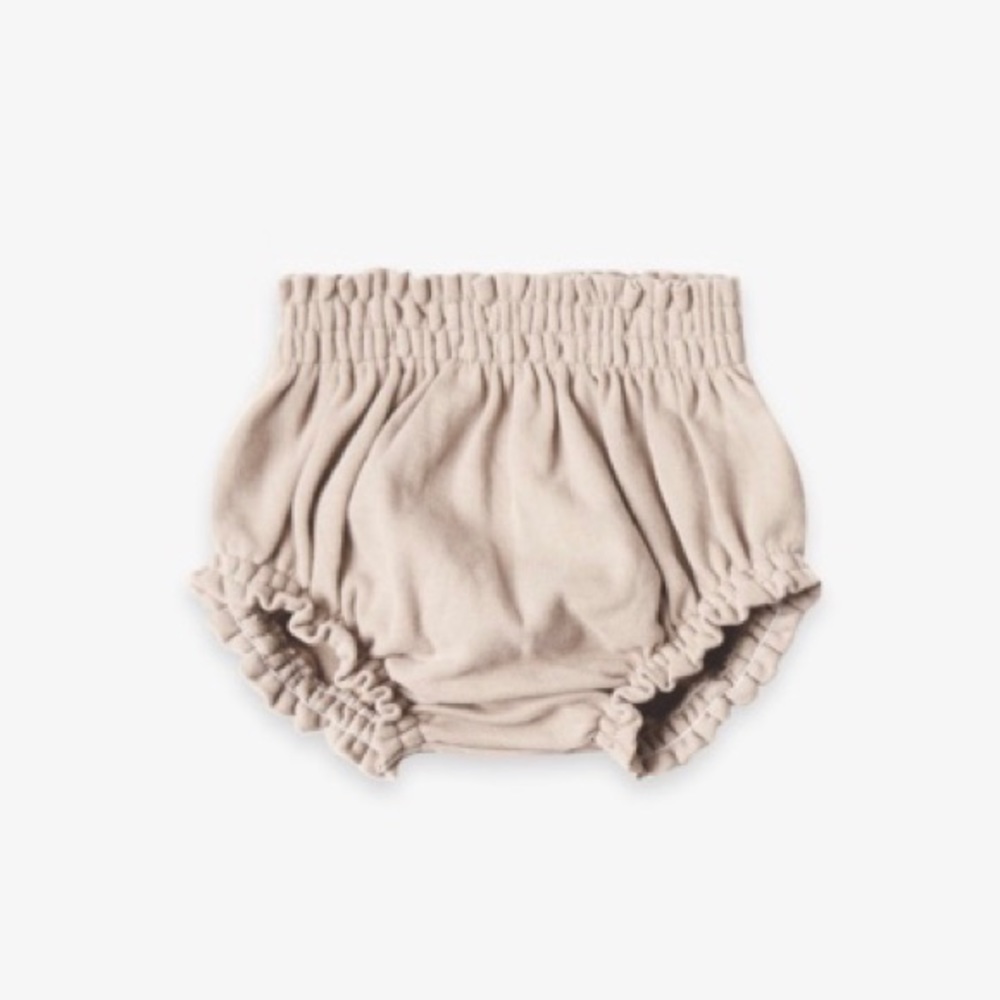 Quincy Mae, soft, rose bloomer